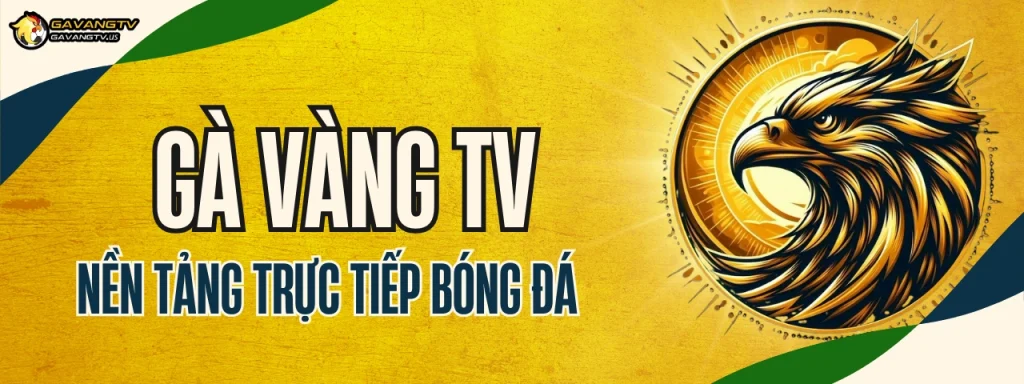 GAVANG TV – Nền tảng trực tiếp bóng đá dành cho người hâm mộ