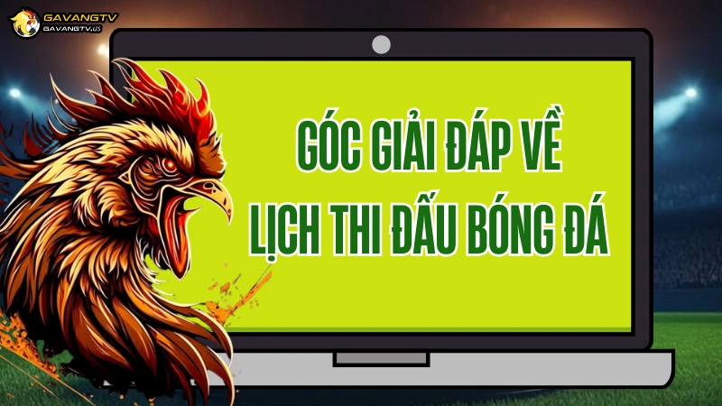 Câu hỏi thường gặp về lịch thi đấu bóng đá trực tiếp trên Gavang TV
